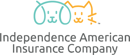 Independence American Insurance Company